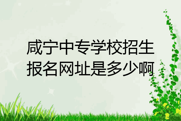 咸宁中专学校招生报名网址是多少啊