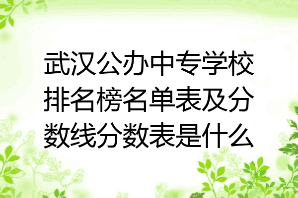 武汉公办中专学校排名榜名单表及分数线分数表是什么