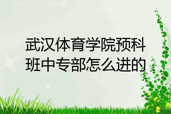 武汉体育学院预科班中专部怎么进的