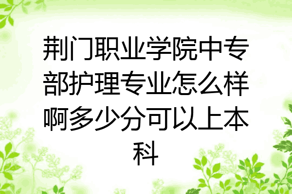 荆门职业学院中专部护理专业怎么样啊多少分可以上本科
