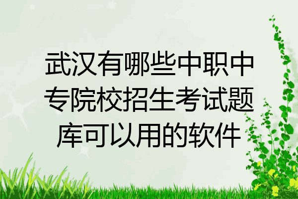 武汉有哪些中职中专院校招生考试题库可以用的软件