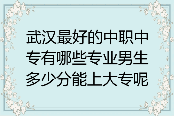 武汉最好的中职中专有哪些专业男生多少分能上大专呢