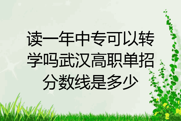 读一年中专可以转学吗武汉高职单招分数线是多少