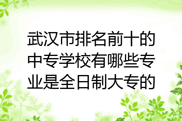 武汉市排名前十的中专学校有哪些专业是全日制大专的