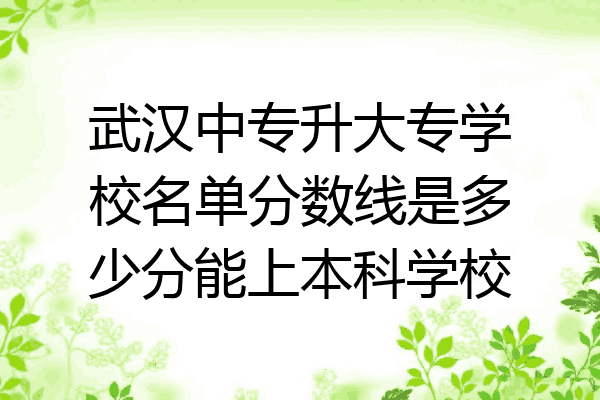 武汉中专升大专学校名单分数线是多少分能上本科学校