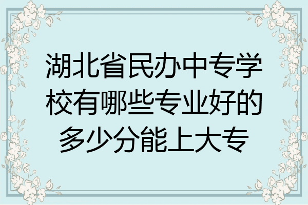 湖北省民办中专学校有哪些专业好的多少分能上大专