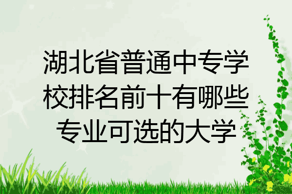 湖北省普通中专学校排名前十有哪些专业可选的大学
