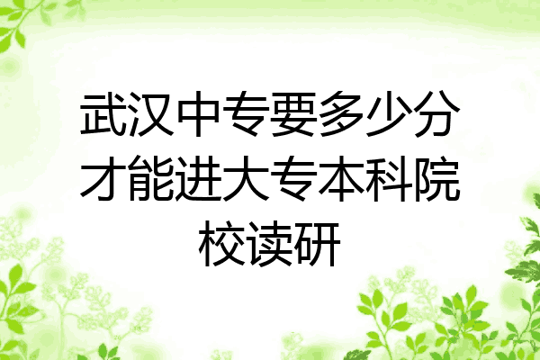 武汉中专要多少分才能进大专本科院校读研