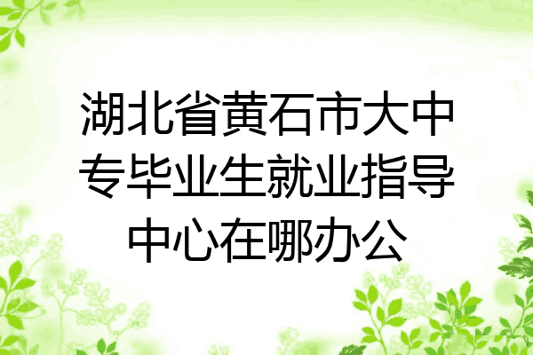 湖北省黄石市大中专毕业生就业指导中心在哪办公