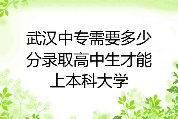 武汉中专需要多少分录取高中生才能上本科大学