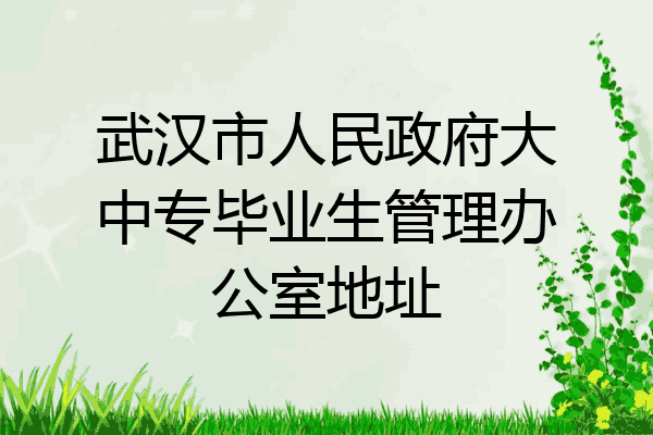 武汉市人民政府大中专毕业生管理办公室地址