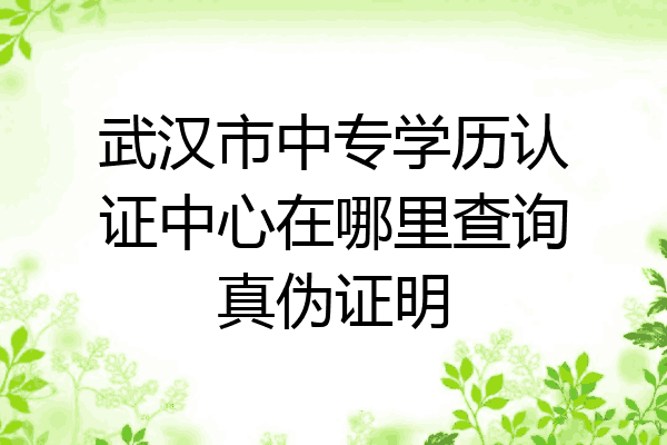 武汉市中专学历认证中心在哪里查询真伪证明