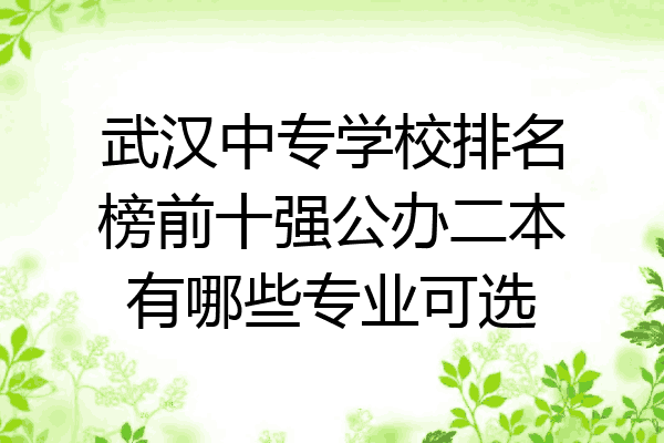 武汉中专学校排名榜前十强公办二本有哪些专业可选