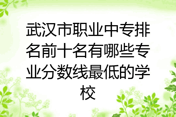武汉市职业中专排名前十名有哪些专业分数线最低的学校