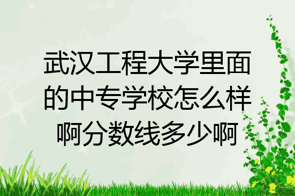 武汉工程大学里面的中专学校怎么样啊分数线多少啊