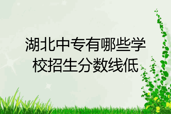 湖北中专有哪些学校招生分数线低