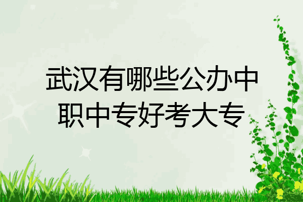 武汉有哪些公办中职中专好考大专