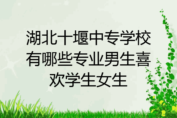 湖北十堰中专学校有哪些专业男生喜欢学生女生