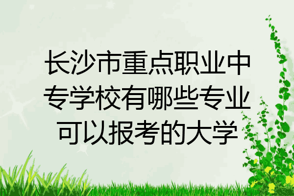 长沙市重点职业中专学校有哪些专业可以报考的大学