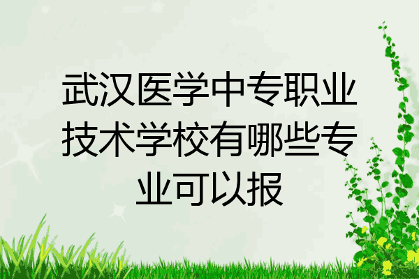 武汉医学中专职业技术学校有哪些专业可以报
