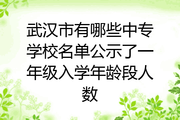 武汉市有哪些中专学校名单公示了一年级入学年龄段人数