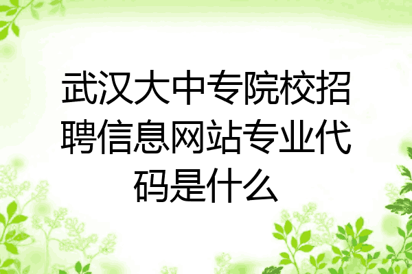 武汉大中专院校招聘信息网站专业代码是什么