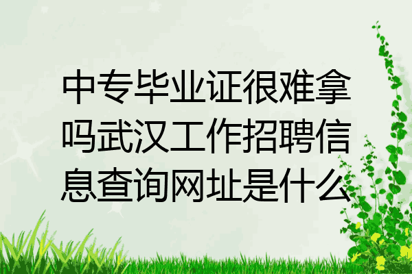 中专毕业证很难拿吗武汉工作招聘信息查询网址是什么
