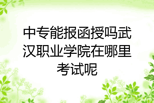 中专能报函授吗武汉职业学院在哪里考试呢