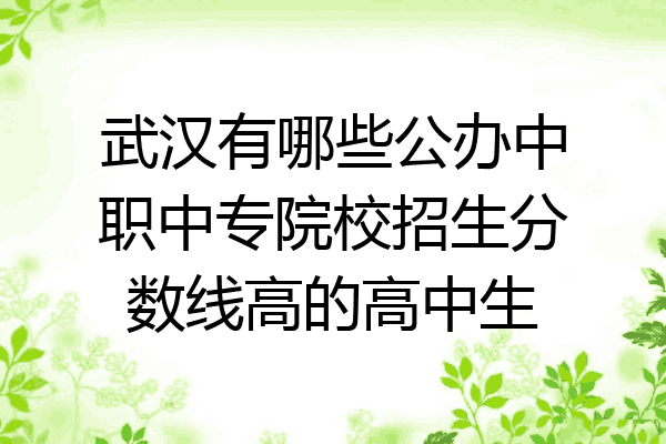 武汉有哪些公办中职中专院校招生分数线高的高中生