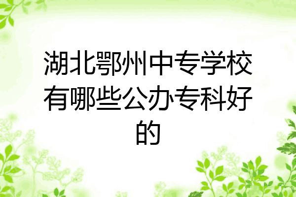 湖北鄂州中专学校有哪些公办专科好的