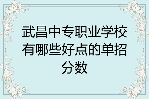 武昌中专职业学校有哪些好点的单招分数