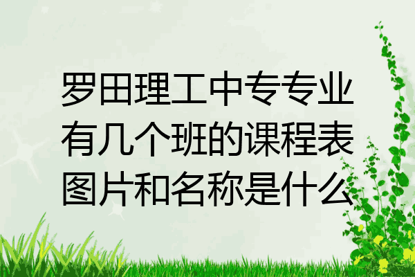 罗田理工中专专业有几个班的课程表图片和名称是什么