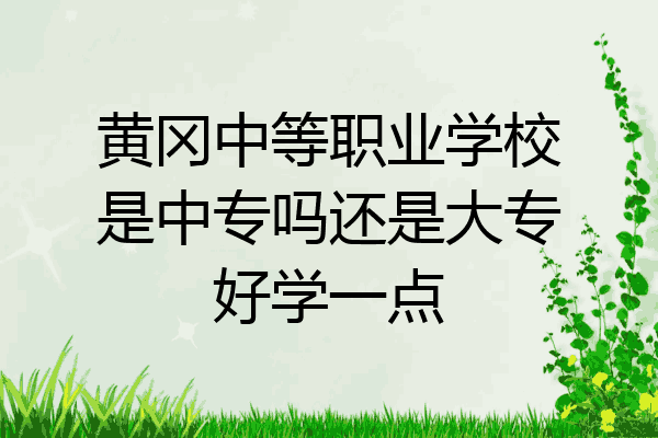 黄冈中等职业学校是中专吗还是大专好学一点