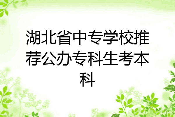 湖北省中专学校推荐公办专科生考本科