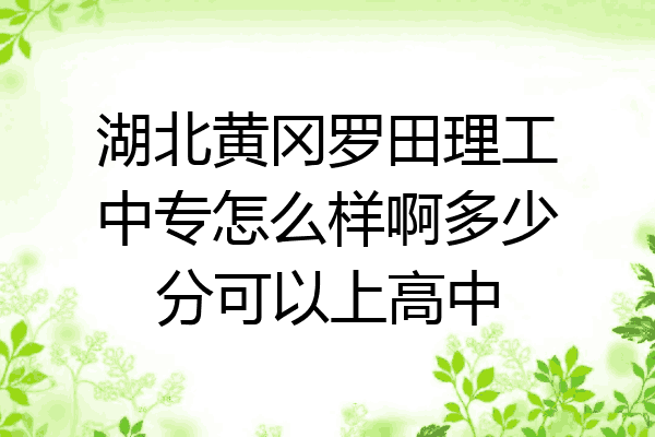 湖北黄冈罗田理工中专怎么样啊多少分可以上高中