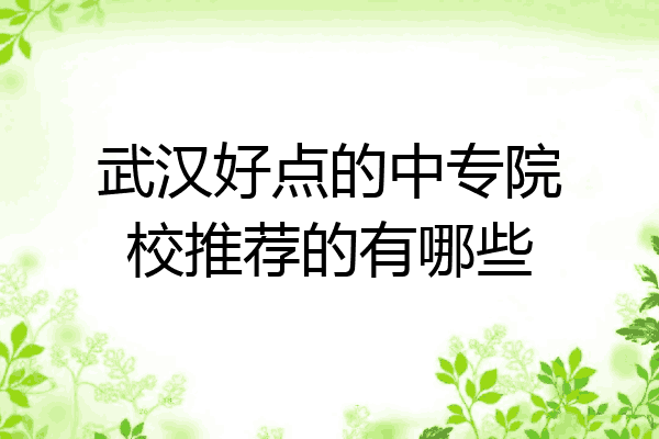 武汉好点的中专院校推荐的有哪些