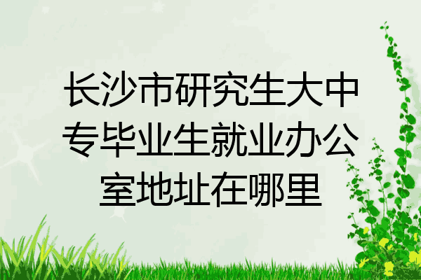 长沙市研究生大中专毕业生就业办公室地址在哪里