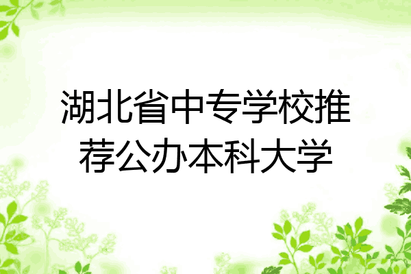 湖北省中专学校推荐公办本科大学