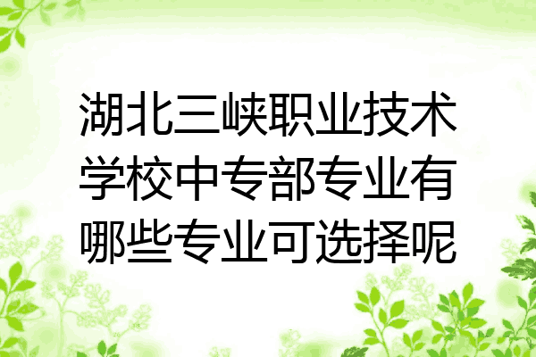 湖北三峡职业技术学校中专部专业有哪些专业可选择呢