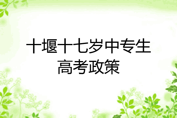 十堰十七岁中专生高考政策