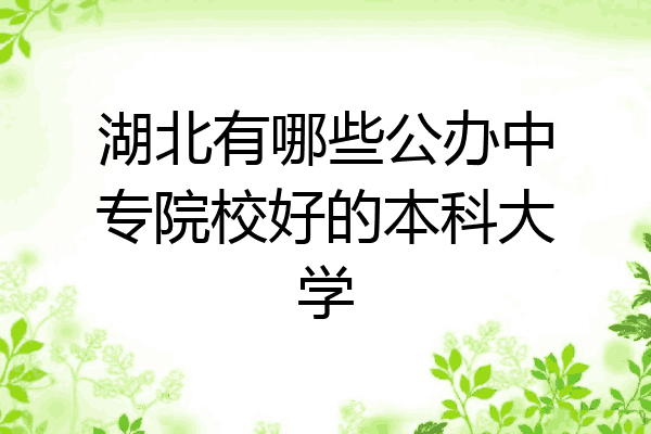 湖北有哪些公办中专院校好的本科大学