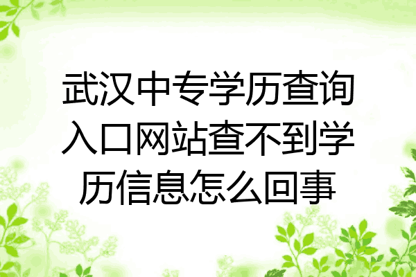 武汉中专学历查询入口网站查不到学历信息怎么回事