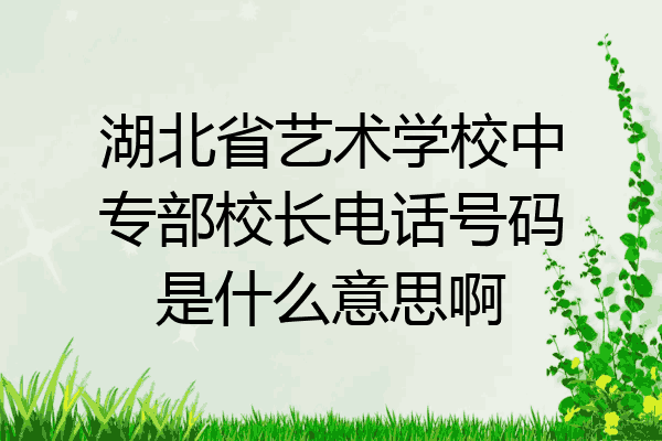 湖北省艺术学校中专部校长电话号码是什么意思啊