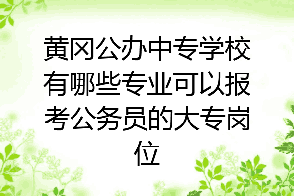 黄冈公办中专学校有哪些专业可以报考公务员的大专岗位