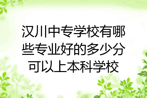 汉川中专学校有哪些专业好的多少分可以上本科学校