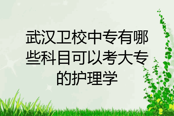 武汉卫校中专有哪些科目可以考大专的护理学