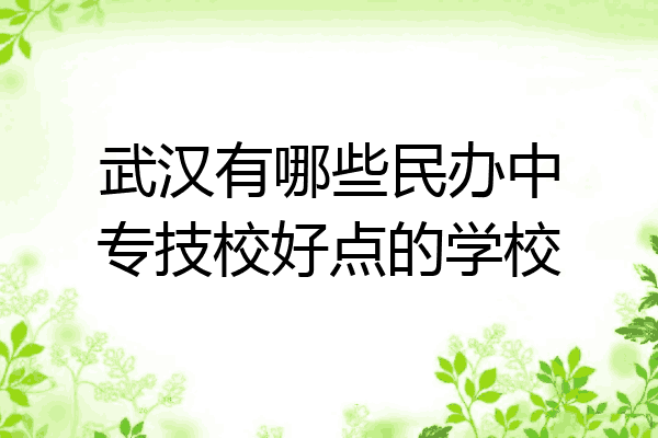 武汉有哪些民办中专技校好点的学校