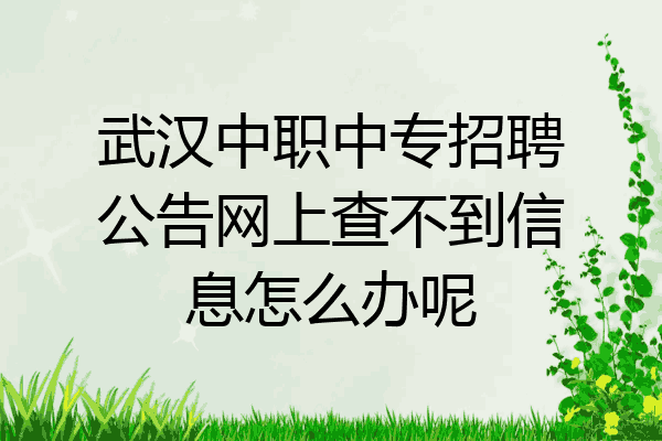 武汉中职中专招聘公告网上查不到信息怎么办呢