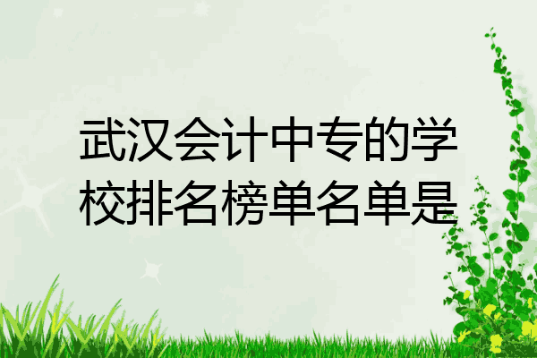武汉会计中专的学校排名榜单名单是