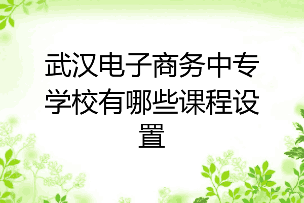 武汉电子商务中专学校有哪些课程设置